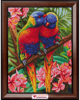 Diamond painting Lori lintu