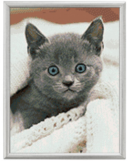 Diamond painting Kissa