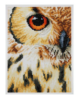 Diamond painting Pöllö lähikuvassa