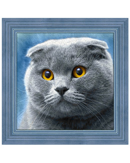 Diamond painting Harmaa kissa
