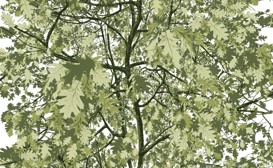 Vallila Tähtitammi-kangas 150 cm