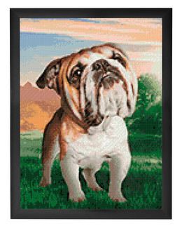 Diamond painting Bulldog