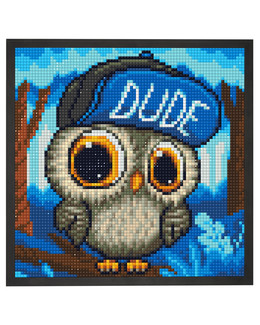 Diamond painting Dude