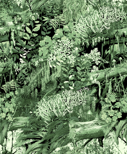 Vallila 5330-1 Trollskogen tapetti