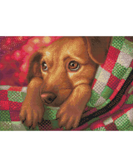 Diamond painting Koiranpentu