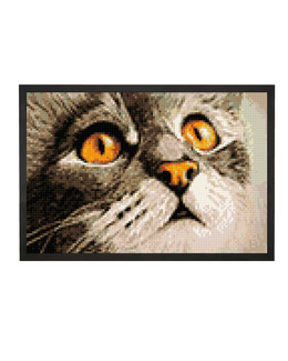 Diamond painting Kultainen silmäys
