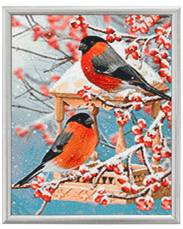 Diamond painting Linnut